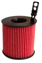 Load image into Gallery viewer, K&amp;N HP-7061 Oil Filter for Select Hyundai Santa Fe, Hyundai Tucson, Kia Seltos, Kia Sorento, Kia Sportage