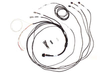 Load image into Gallery viewer, HALTECH HT-060300 Semi Terminated Harness for IC-7 Display Dash -