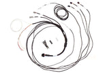 HALTECH HT-060300 Semi Terminated Harness for IC-7 Display Dash -