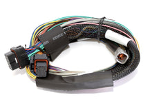 Load image into Gallery viewer, HALTECH HT-141302 Elite 2500 Basic Univ. Wire Harness