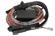 Load image into Gallery viewer, HALTECH HT-141304 Elite 2500 Premium Univ. Wire Harness