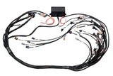 HALTECH HT-141364 Elite 2000/2500 Non DBW Terminated Wire Harness