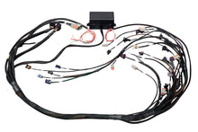 Load image into Gallery viewer, HALTECH HT-141365 Elite 2000/2500 Non DBW Terminated Wire Harness