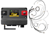 Load image into Gallery viewer, HALTECH HT-220204 Nexus Rebel LS Kit w/DBW Throttle EV6 Inj.