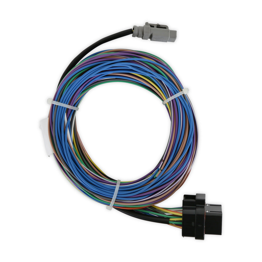 Harness-Iq3s-Street-Dash