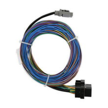 Load image into Gallery viewer, Harness-Iq3s-Street-Dash