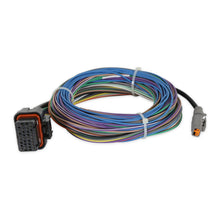 Load image into Gallery viewer, Harness-Iq3s-Street-Dash