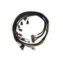 Load image into Gallery viewer, Harness,-6013-To-Early-Hemi-03-05