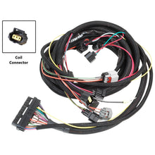 Load image into Gallery viewer, Harness,-6013-To-Late-Hemi-06-Up