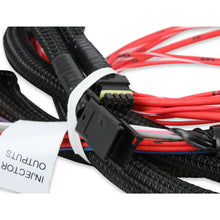 Load image into Gallery viewer, Harness,-Injector-Driver-Module