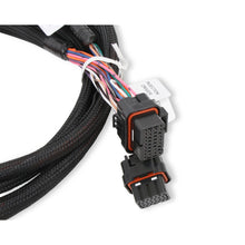 Load image into Gallery viewer, Harness,-Injector-Driver-Module