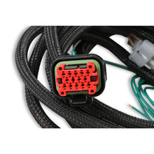 Load image into Gallery viewer, Harness,Ls-Input,Can,Replacement,8000