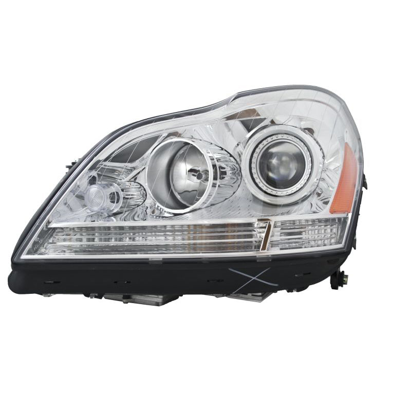 Hlmp-Lh-Mb-Gl-Cls-Bi-Xen-06-