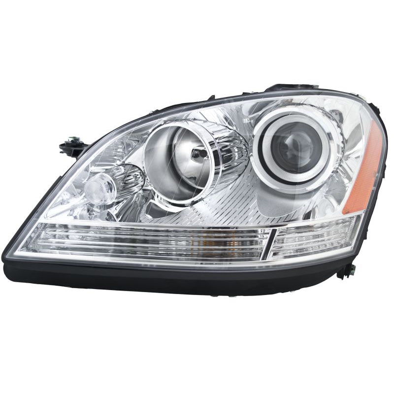Hlmp-Lh-Mb-Ml-Class-06-