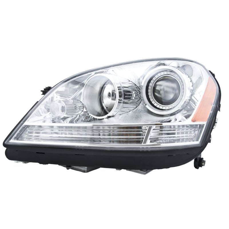 Hlmp-Lh-Mb-Ml-Cls-Bi-Xen-06-