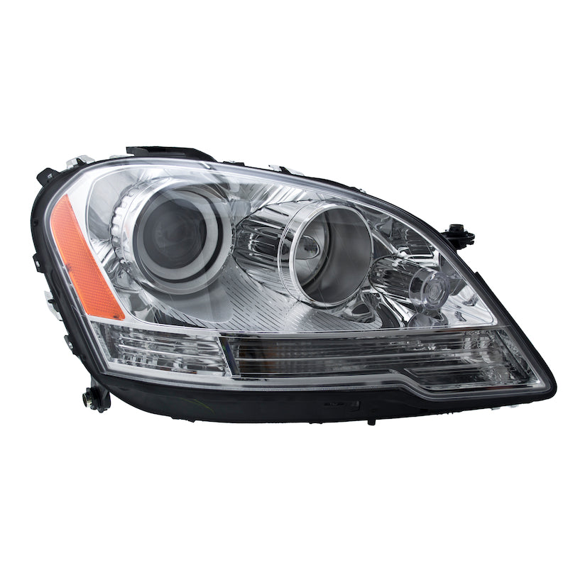 Hlmp-Rh-Hlgn-Mb-Ml-Class-08-