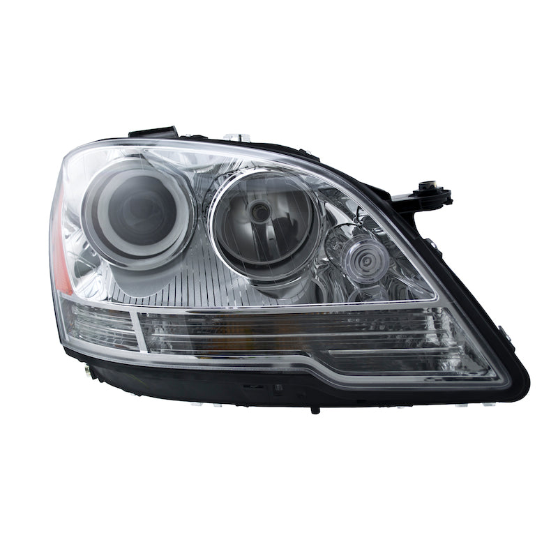 Hlmp-Rh-Hlgn-Mb-Ml-Class-08-
