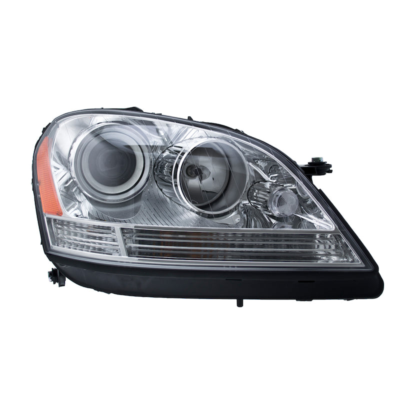 Hlmp-Rh-Mb-Ml-Class-06-