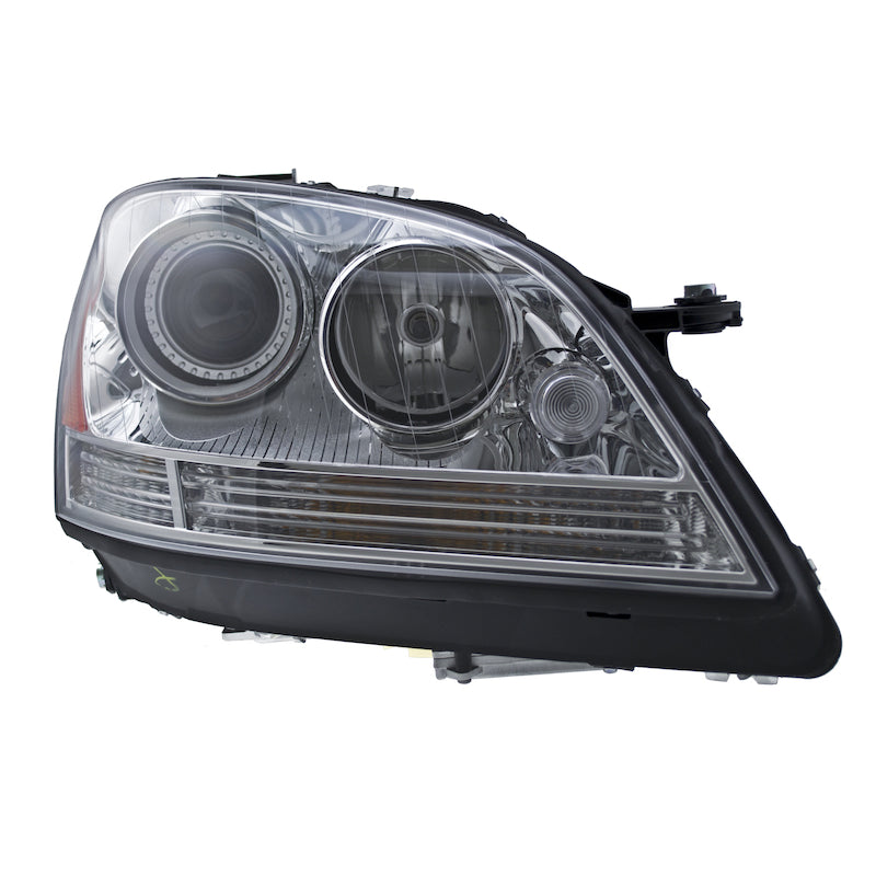Hlmp-Rh-Mb-Ml-Cls-Bi-Xen-06-