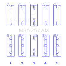 Load image into Gallery viewer, Hyundai-Lantra-1600-(Size-0.50Mm)-Main-Bearing-Set