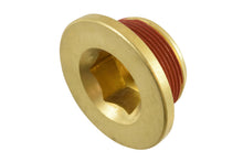 Load image into Gallery viewer, ICT BILLET 551282 LS &amp; LT Engine Block Coo lant Water Drain