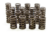 Load image into Gallery viewer, ISKY CAMS 205-D Valve Springs