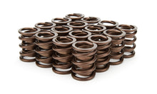 Load image into Gallery viewer, ISKY CAMS 3105-D 1.490 Valve Springs
