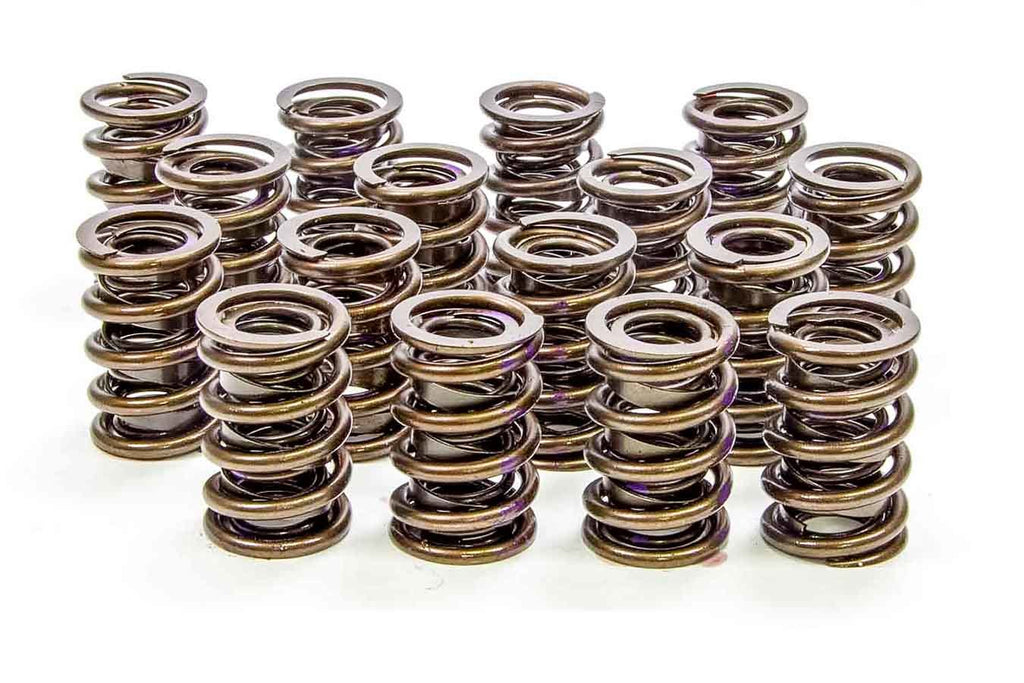 ISKY CAMS 9005PLUS 1.530 Endurance Plus Dual Valve Springs  16pk