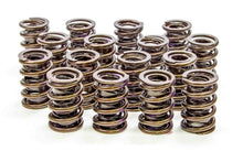 Load image into Gallery viewer, ISKY CAMS 9005PLUS 1.530 Endurance Plus Dual Valve Springs  16pk