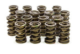 ISKY CAMS 9905 1.534 Valve Springs