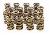 ISKY CAMS 9945-RAD 1.625 Valve Springs