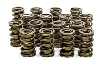 Load image into Gallery viewer, ISKY CAMS 9975 1.560 Valve Springs
