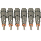 BD Diesel 1075824 Injector Kit - 1998-2002 Dodge 24-valve 125hp
