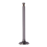 OMIX-ADA 17417.01 Intake Valve 134Ci L-Head