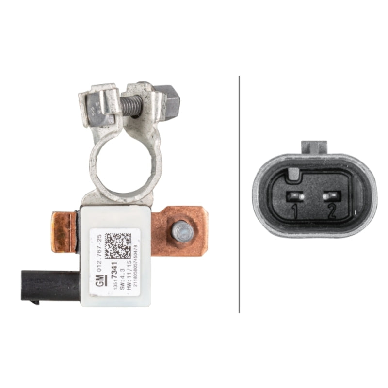 Intelligent-Battery-Sensor-(Ibs)