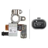 Hella 010557431 Intelligent Battery Sensor (IBS)