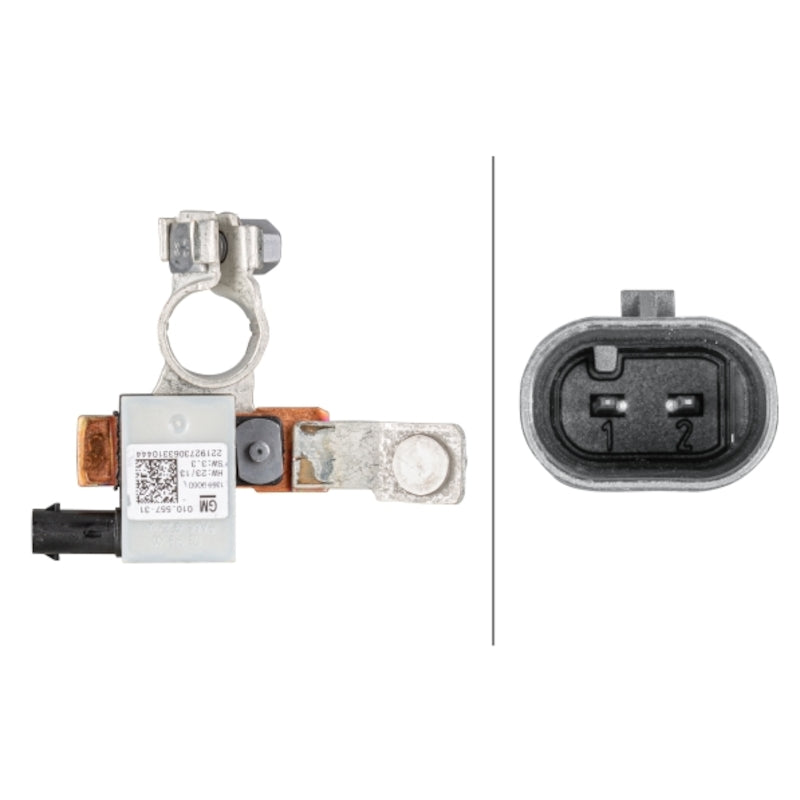 Intelligent-Battery-Sensor-(Ibs)