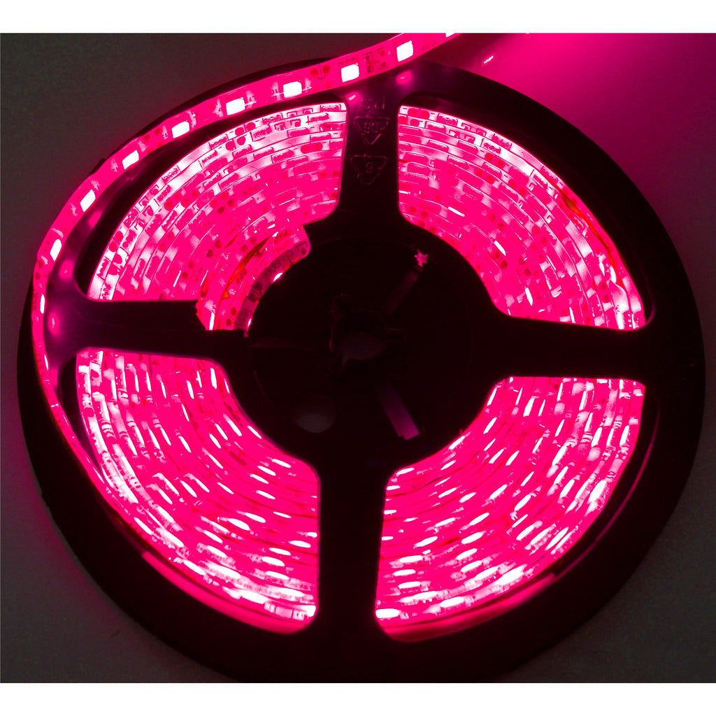 --Interior-Accent-Light