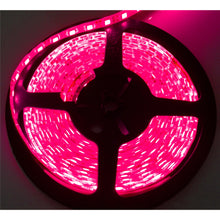Load image into Gallery viewer, --Interior-Accent-Light