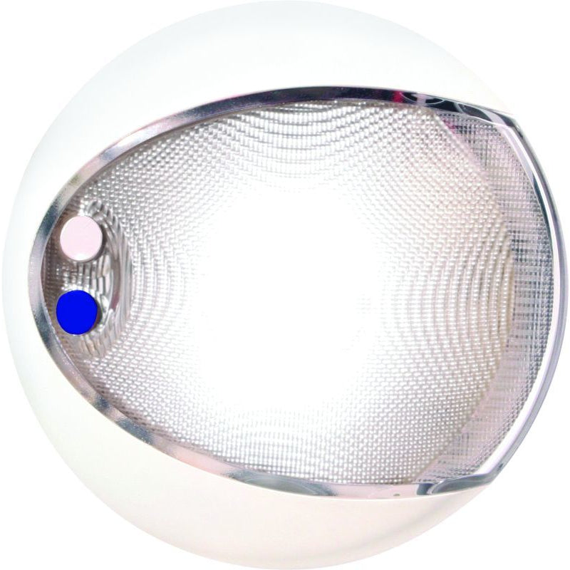 Interior-Lamp-Euroled130t-BlueWht-2Ja
