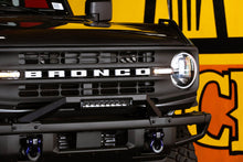 Load image into Gallery viewer, DV8 Offroad LBBR-04 Bull Bar