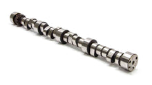 Load image into Gallery viewer, LUNATI 20110712 Voodoo Hydraulic Roller Cam - BBC 282 Series