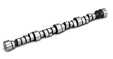 Load image into Gallery viewer, LUNATI 40110734 Voodoo Solid Roller Cam BBC - 255