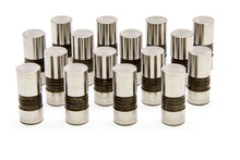 Load image into Gallery viewer, LUNATI 71817-16 Chevy Hydraulic Lifters