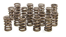 Load image into Gallery viewer, LUNATI 73084-16 1.450in Valve Springs