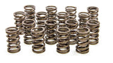 LUNATI 73084-16 1.450in Valve Springs
