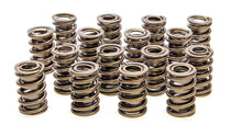 Load image into Gallery viewer, LUNATI 73100-16 1.450in Valve Springs