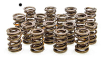 Load image into Gallery viewer, LUNATI 73117-16 Valve Spring 1.550 Dual w/o Damper