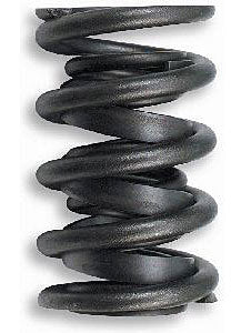 LUNATI 73949-16 1.440in Valve Springs