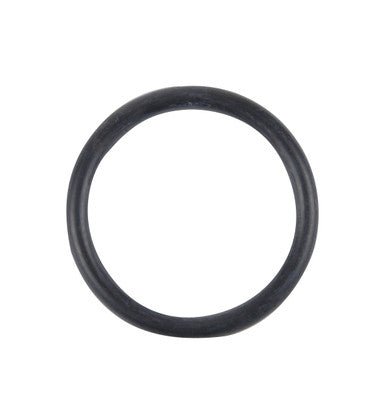 Spectra Premium LO54 Fuel Tank Lock Ring